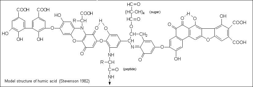 La formule structurelle possible du fragment de l'acide humique