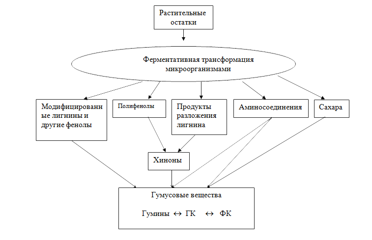  Загальні властивості трьох головних компонентів гумусу