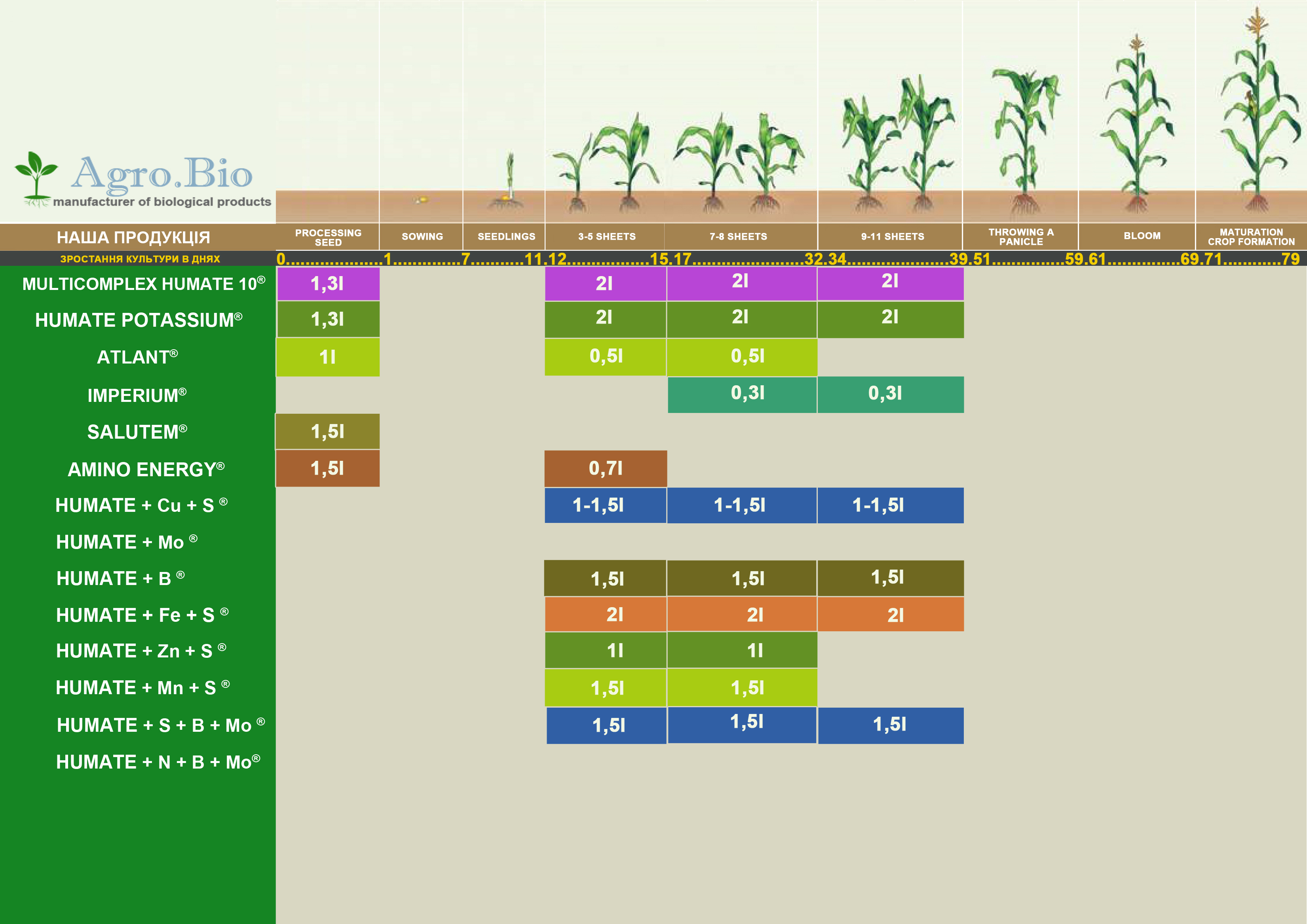 organigramme du soja